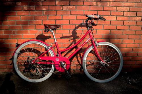 Bobbin Brownie 24 specificaties 